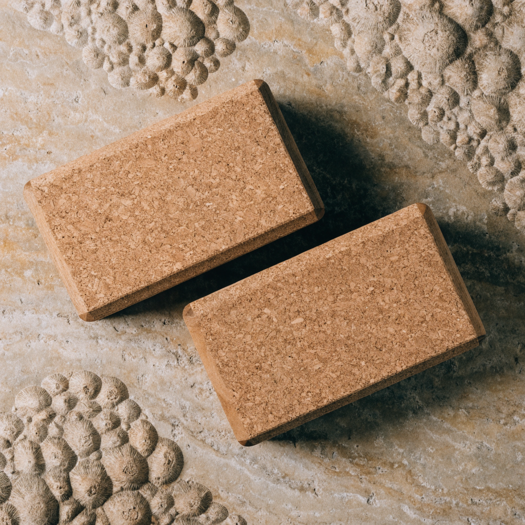Cork & Wood Yoga Blocks Set